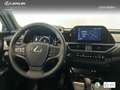 Lexus UX 300h + Rot - thumbnail 11