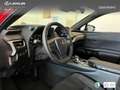 Lexus UX 300h + Rot - thumbnail 21