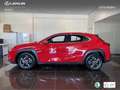 Lexus UX 300h + Rot - thumbnail 13