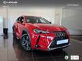 Lexus UX 300h + Rot - thumbnail 12
