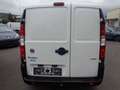Fiat Doblo Doblò 1.3 JTD Basis Maxi Kasten Weiß - thumbnail 6