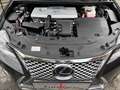 Lexus CT 200h 1.8 HYBRID Business Edition Noir - thumbnail 18