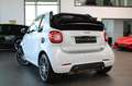 smart forTwo FORTWO CABRIO *BRABUS 80KW ORIGINAL* XCLUSIVE! Blanc - thumbnail 13