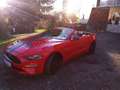 Ford Mustang Convertible 5.0 Ti-VCT V8 Aut. GT - thumbnail 11