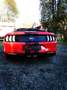 Ford Mustang Convertible 5.0 Ti-VCT V8 Aut. GT - thumbnail 10
