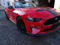 Ford Mustang Convertible 5.0 Ti-VCT V8 Aut. GT - thumbnail 8