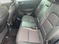 Kia Sportage 1.7 crdi Style 2wd 115cv Grau - thumbnail 8