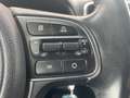 Kia Sportage 1.7 crdi Style 2wd 115cv Grau - thumbnail 18