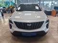 Cadillac XT4 Luxury AWD Weiß - thumbnail 8