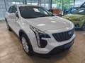 Cadillac XT4 Luxury AWD Weiß - thumbnail 7