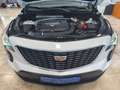 Cadillac XT4 Luxury AWD Weiß - thumbnail 18