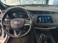 Cadillac XT4 Luxury AWD Weiß - thumbnail 10