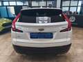 Cadillac XT4 Luxury AWD Weiß - thumbnail 4