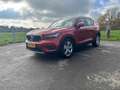 Volvo XC40 XC40 T3 Momentum Rood - thumbnail 13