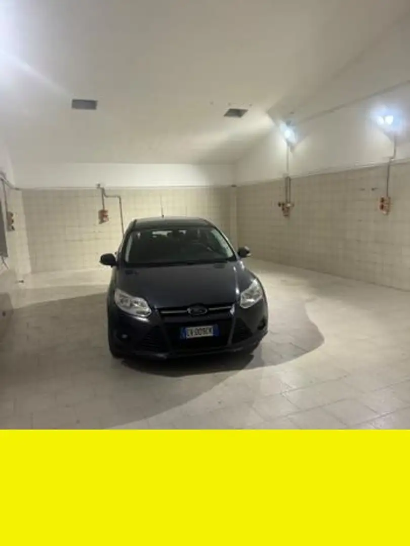 Ford Focus - 1