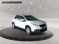 Peugeot 2008 Active 82 Pano+SD+SHZ+PDC+Akustikglas Blanco - thumbnail 5