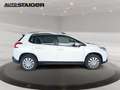 Peugeot 2008 Active 82 Pano+SD+SHZ+PDC+Akustikglas Blanco - thumbnail 6