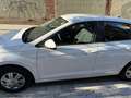 Volkswagen Polo Polo 1.0 TSI Beats 70kW Beats Blanco - thumbnail 1