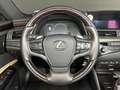 Lexus ES 300 H/Luxury Line/360°/Scheckheft/Hybrid/TÜV Grün - thumbnail 21