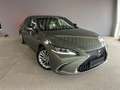 Lexus ES 300 H/Luxury Line/360°/Scheckheft/Hybrid/TÜV Grün - thumbnail 9