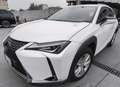 Lexus UX 250h 2.0 Business 2wd cvt Bianco - thumbnail 1