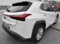 Lexus UX 250h 2.0 Business 2wd cvt Bianco - thumbnail 3