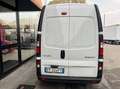 Renault Trafic '' TETTO ALTO '' Blanco - thumbnail 4