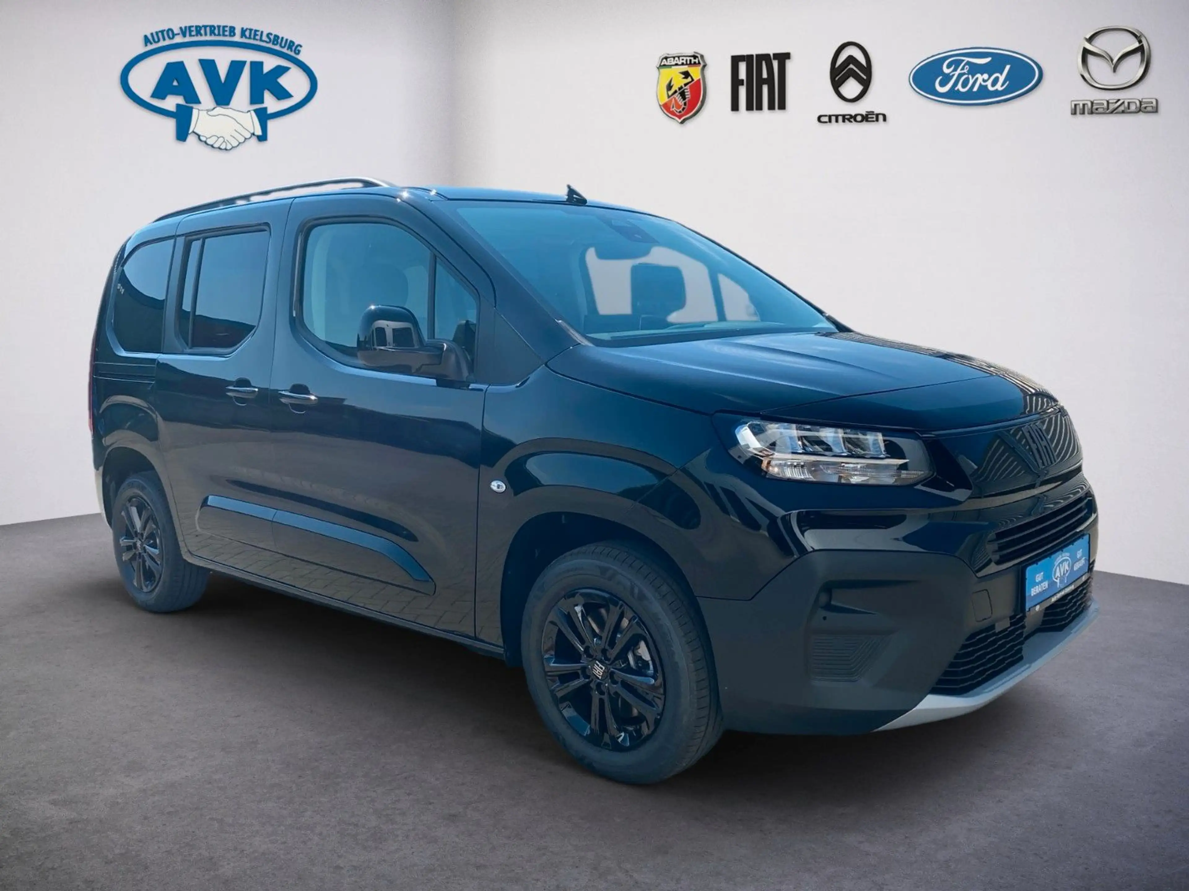 Fiat Qubo L 5-Sitzer L1 1.5 Diesel Icon, Kamera