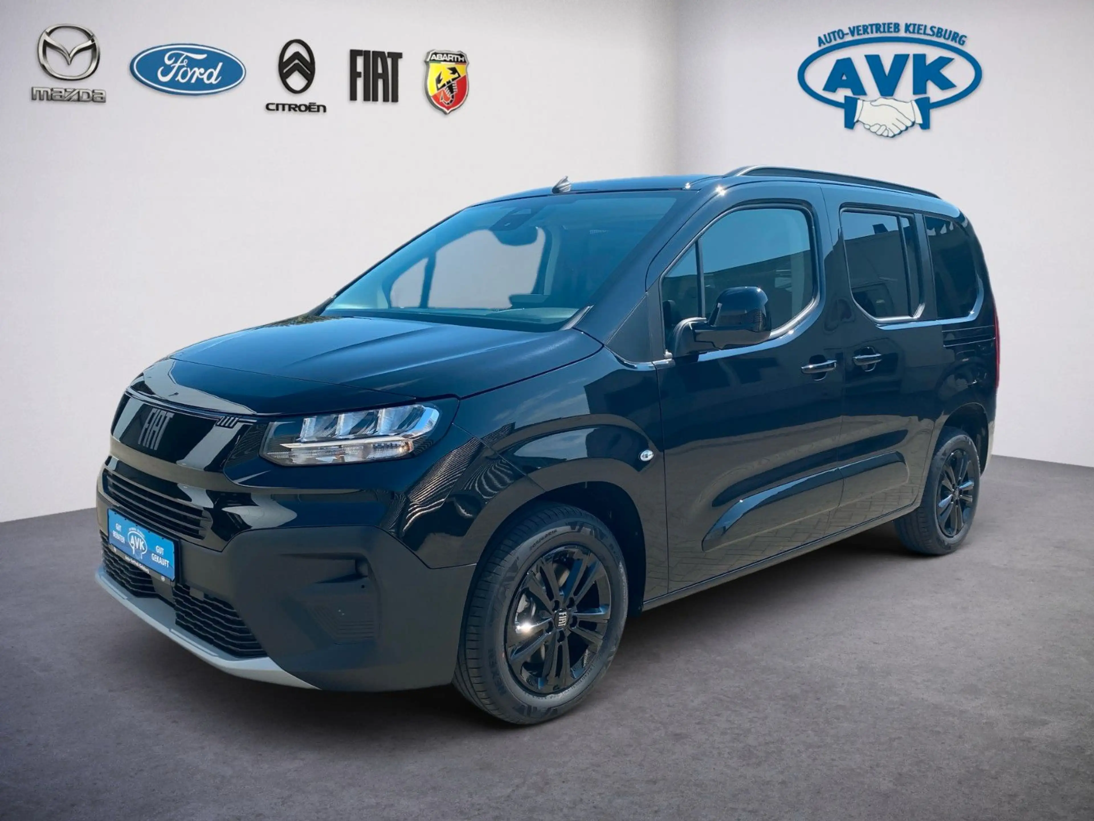 Fiat Qubo L 5-Sitzer L1 1.5 Diesel Icon, Kamera — photo 2