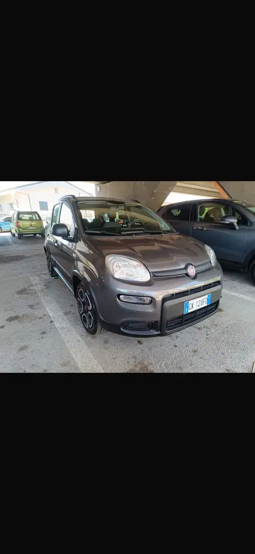 Fiat Panda 1.0 firefly hybrid Sport s&s 70cv 5p.ti - 2
