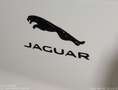 Jaguar I-Pace Austria Edition EV320 | Auto Stahl Wien 23 Blanc - thumbnail 13