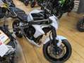 Kawasaki - thumbnail 7