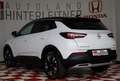 Opel Grandland X Diesel Ultimate LED KAMERA WINTERPAKET Wit - thumbnail 10