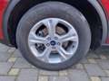 Ford Kuga 1.5 EcoBoost 120 CV 2WD Connect Rouge - thumbnail 11