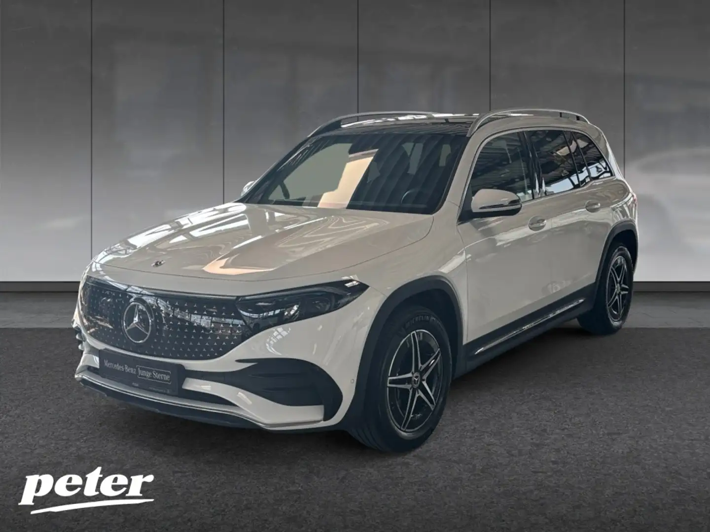 Mercedes-Benz EQB 350 4M AMG/Advanced/LED/Pano-SD/Distronic/ Weiß - 2