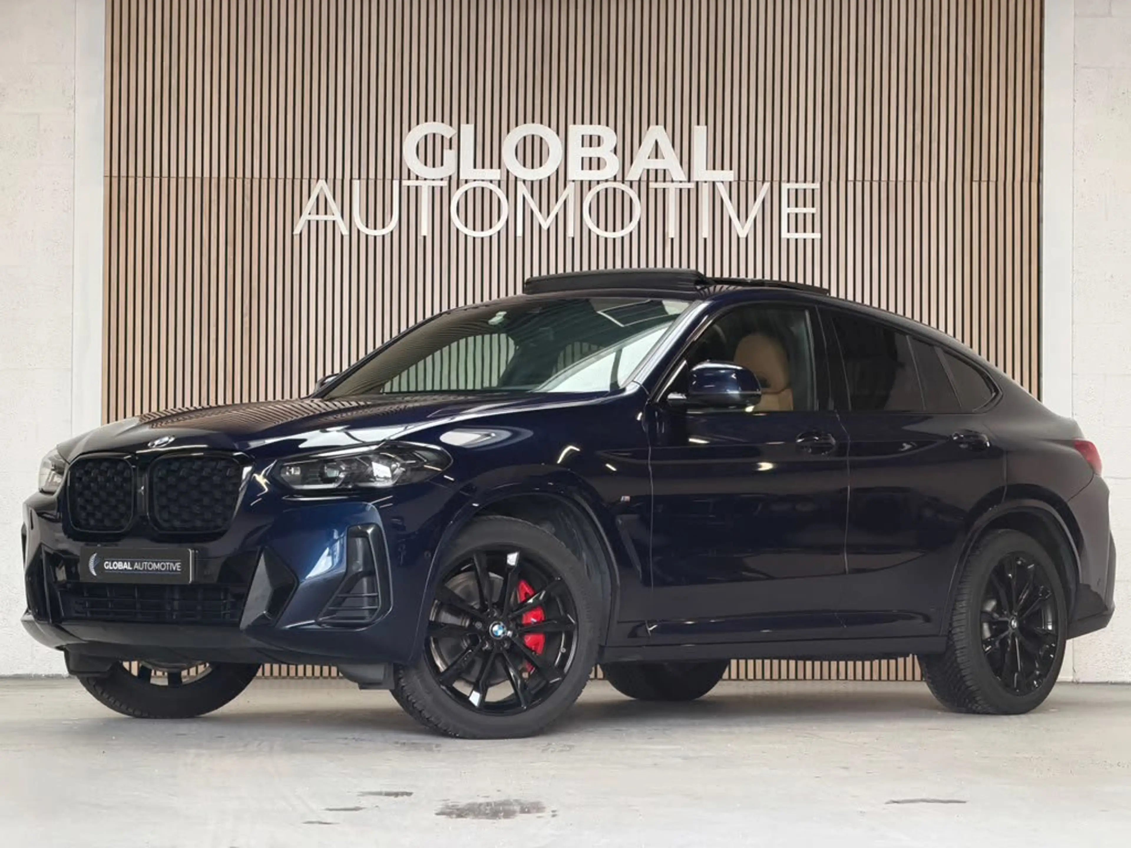 BMW X4 XDrive30i High Executive M Sport - M Stoelen - Pan