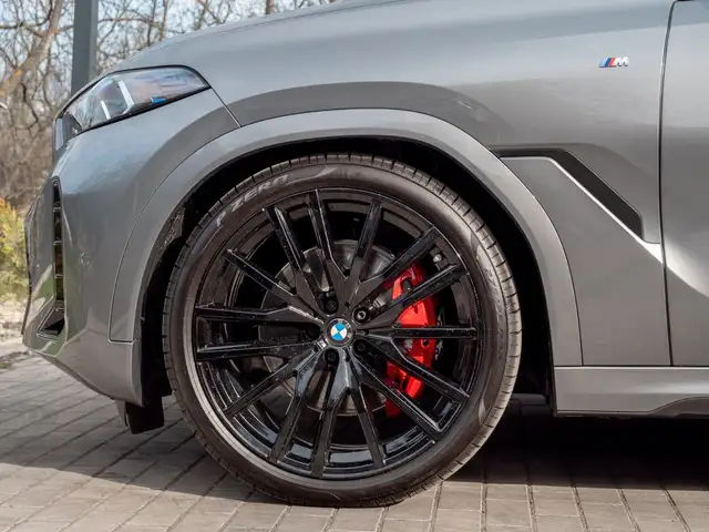 BMW X6 view 10