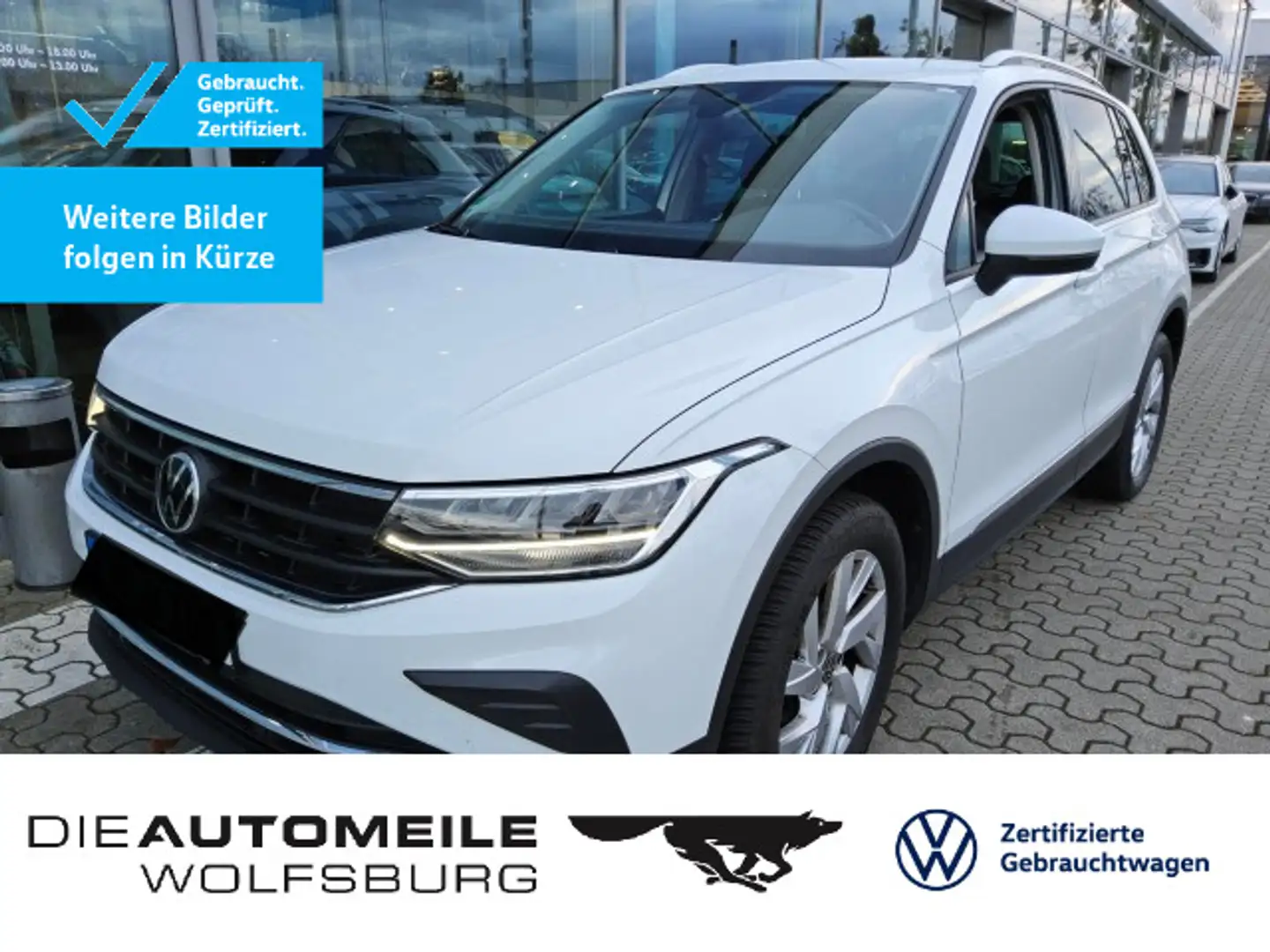 Volkswagen Tiguan 2.0 TDI DSG 4Motion Life AHK/ACC/Einparkh Weiß - 1