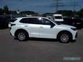 Volkswagen Tiguan 1.5 eTSI DSG R-LINE HD-MATRIX NAVI APP Weiß - thumbnail 6