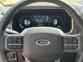 Ford F 150 USA 3.5L V6 Lariat full-spec! Blauw - thumbnail 24