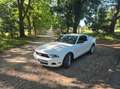 Ford Mustang V6 Weiß - thumbnail 1