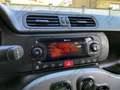 Fiat Panda Panda 1.0 hybrid City Life 70cv - Unipro - Neopat Bianco - thumbnail 11