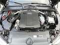 Audi A4 allroad 40 TDI quattro S-tronic Navi Rückfahrkamera Gris - thumbnail 19