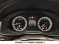 Skoda Kodiaq 1.5 TSI DSG Clever AHK BEH WSS LED KLIMAAUT Bleu - thumbnail 11
