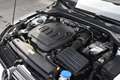 Volkswagen Golf VIII 2.0 TDI Life / Hagelschaden / Weiß - thumbnail 32