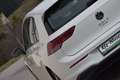 Volkswagen Golf VIII 2.0 TDI Life / Hagelschaden / Weiß - thumbnail 6