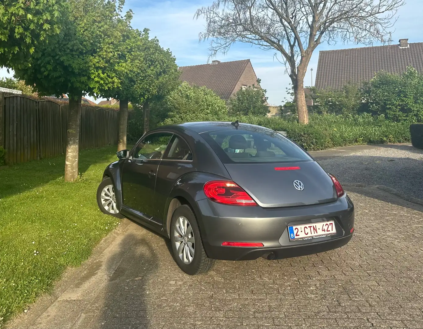 Volkswagen Beetle The Beetle 1.6 TDI DPF Gris - 2