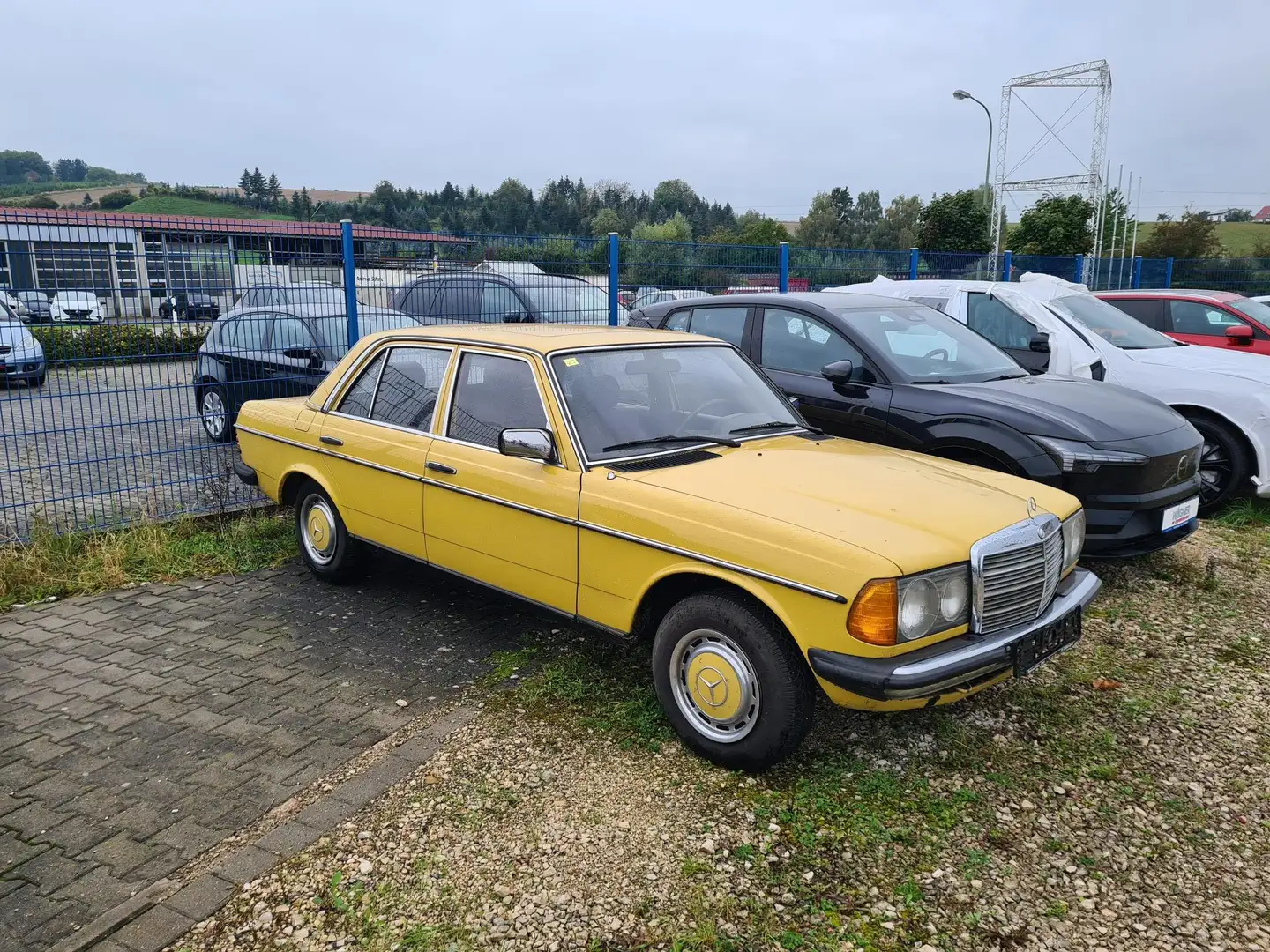 Mercedes-Benz 300 W 123 300 D Limousine *AHK * SD* Jaune - 2