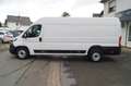 Fiat Ducato Maxi Grossr.-Kasten L5H2*3-Sitzer*Klima Blanc - thumbnail 4