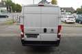 Fiat Ducato Maxi Grossr.-Kasten L5H2*3-Sitzer*Klima Blanc - thumbnail 9